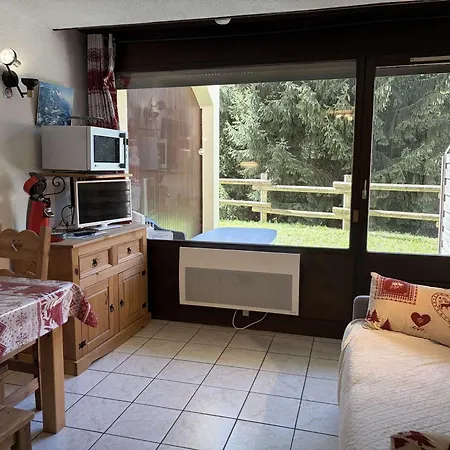 Les Carroz D'arâches, 1 Pièce, 4 Personnes - Fr-1-572-122 Appartement Arâches