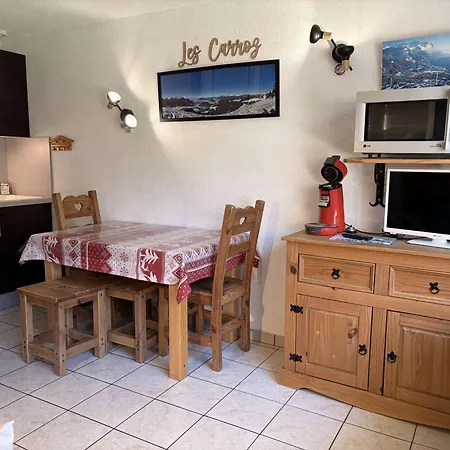 Appartement Les Carroz D'arâches, 1 Pièce, 4 Personnes - Fr-1-572-122 Arâches