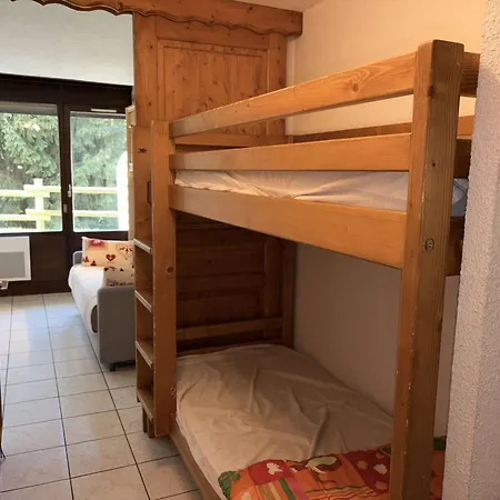 Les Carroz D'arâches, 1 Pièce, 4 Personnes - Fr-1-572-122 Appartement Arâches