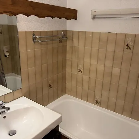 Les Carroz D'arâches, 1 Pièce, 4 Personnes - Fr-1-572-122 Appartement