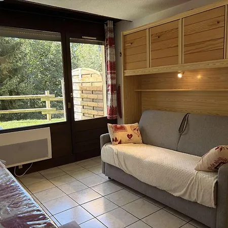 Appartement Les Carroz D'arâches, 1 Pièce, 4 Personnes - Fr-1-572-122